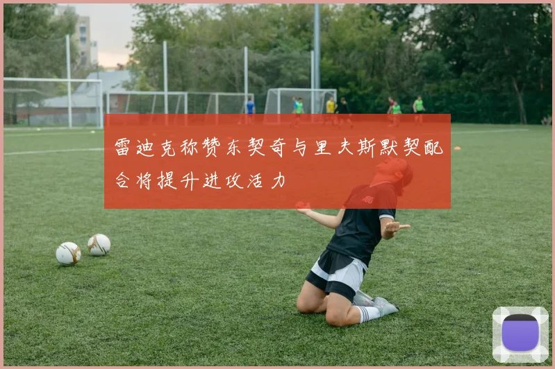 雷迪克称赞东契奇与里夫斯默契配合将提升进攻活力