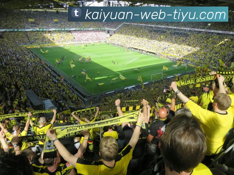 多媒体互动体验