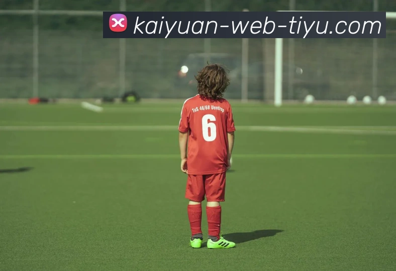 开元体育APP 高清赛事图